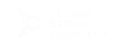 logo cheros